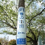 haruogawaradio