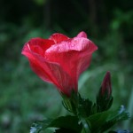 20100816a
