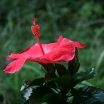 20100816b